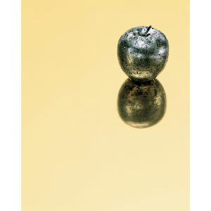 Polished Solid Brass 803 - Hoja